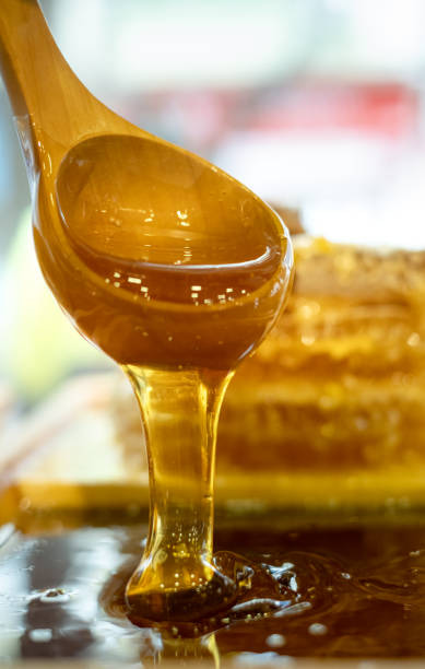تصویر 4 از خرید عسل وحشی و قیمت فروش استثنایی